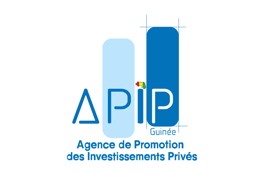 APIP GUINEE